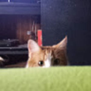 Meet your Posher, Eric